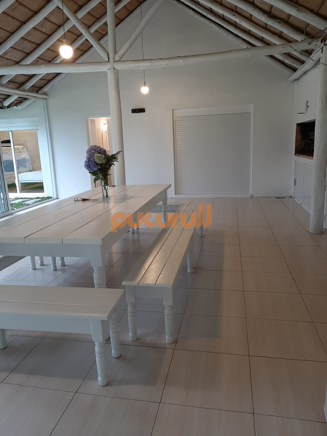 Tio Tom - GoPunta - Portal Inmobiliario de Punta del Este - Maldonado
