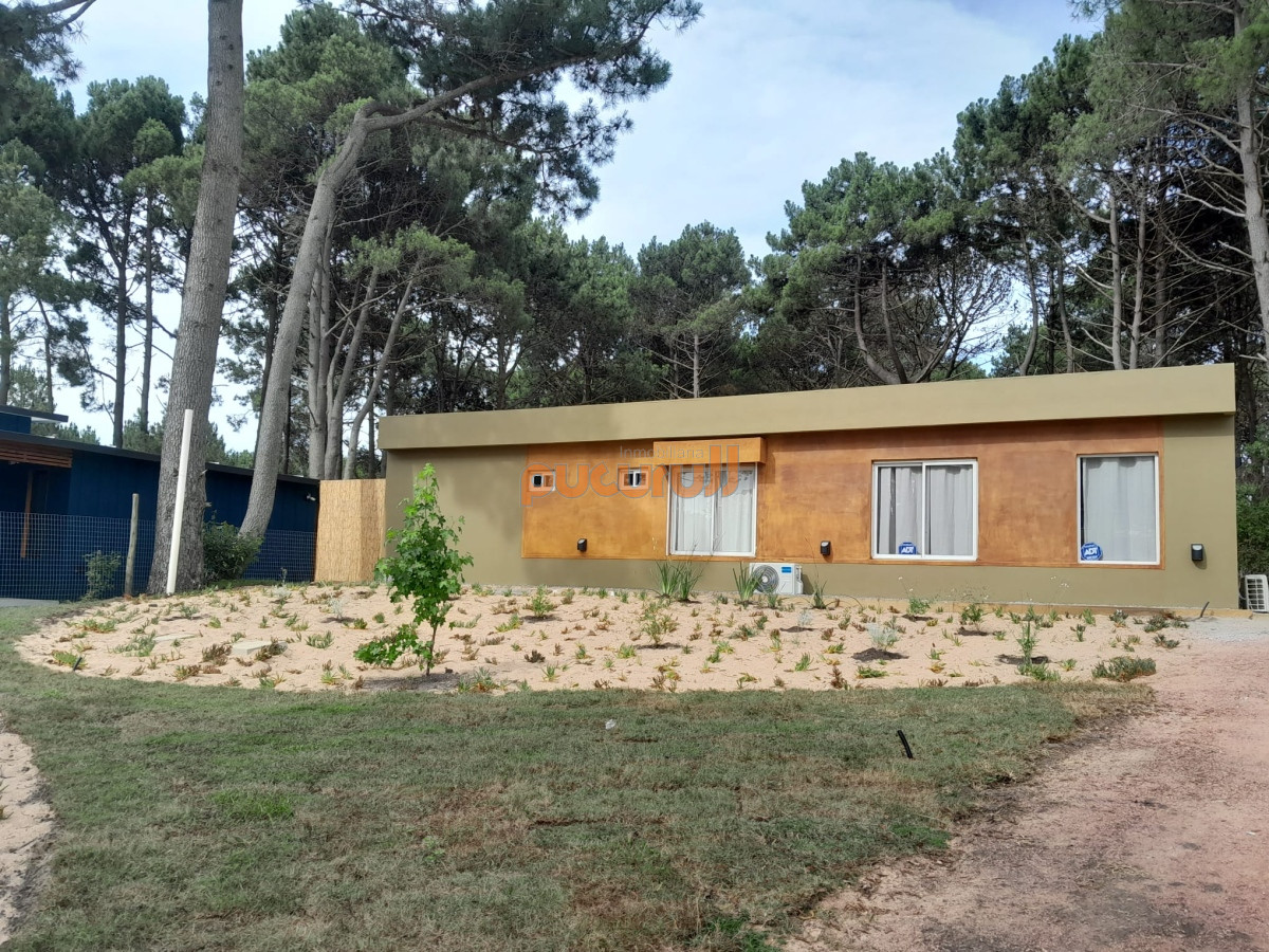 Chihuahua - GoPunta - Portal Inmobiliario de Punta del Este - Maldonado