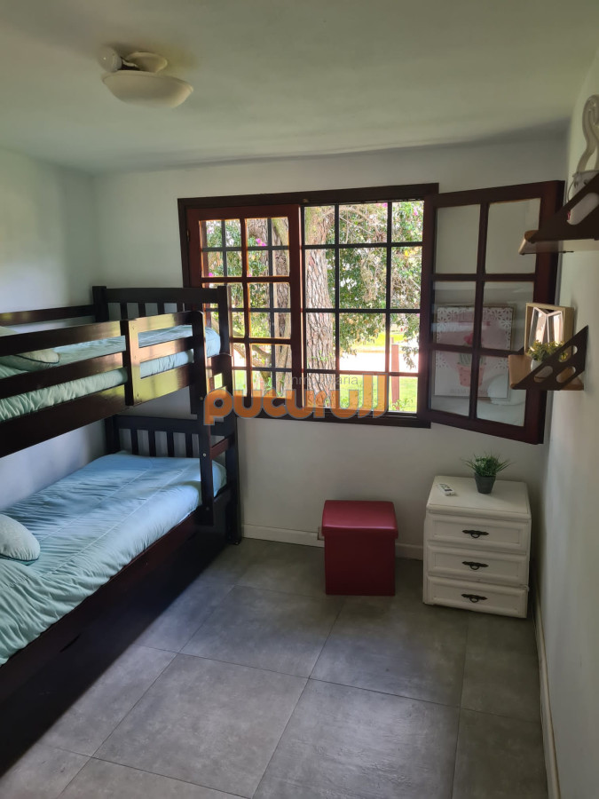 Chihuahua - GoPunta - Portal Inmobiliario de Punta del Este - Maldonado