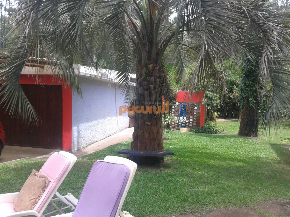 Portezuelo Bosque - GoPunta - Portal Inmobiliario de Punta del Este - Maldonado