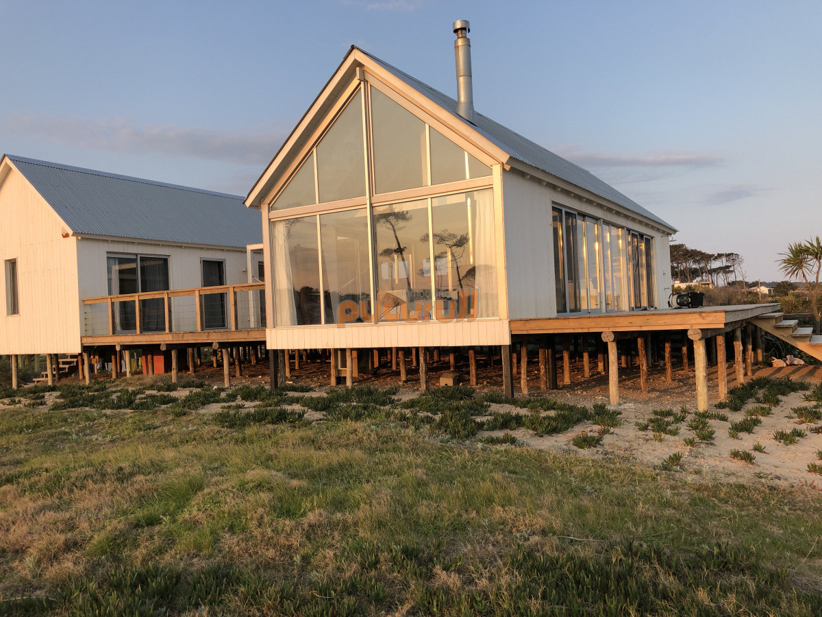 Chihuahua - GoPunta - Portal Inmobiliario de Punta del Este - Maldonado