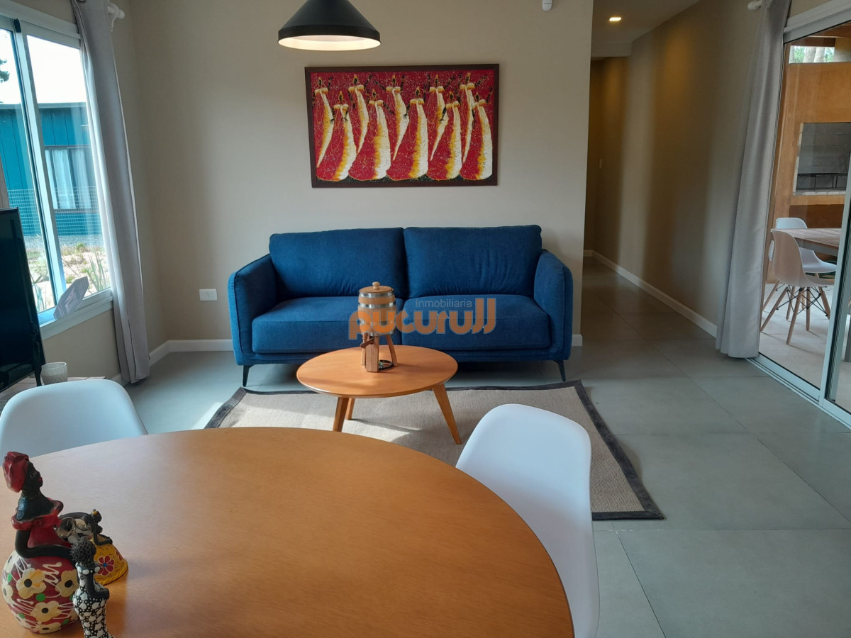 Chihuahua - GoPunta - Portal Inmobiliario de Punta del Este - Maldonado