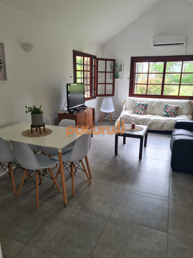 Chihuahua - GoPunta - Portal Inmobiliario de Punta del Este - Maldonado