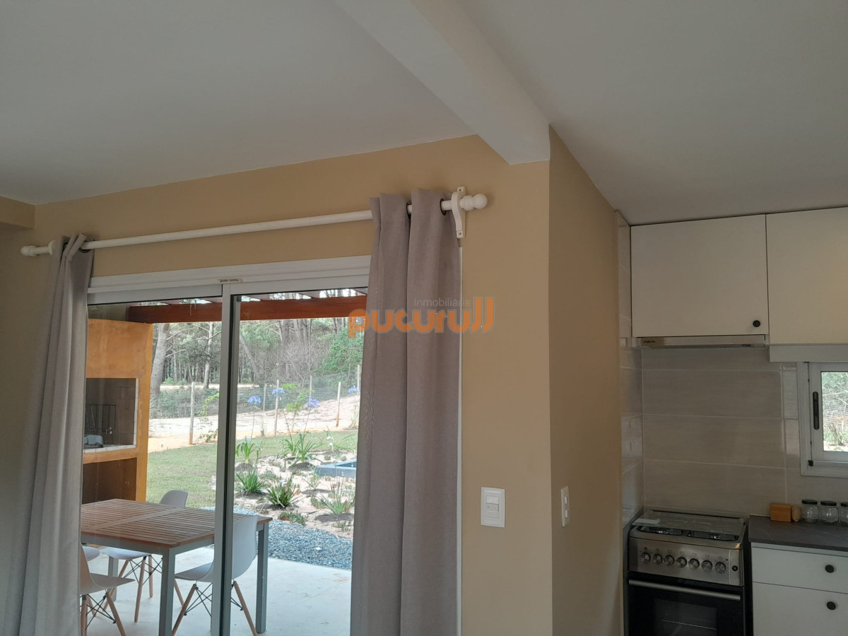Chihuahua - GoPunta - Portal Inmobiliario de Punta del Este - Maldonado