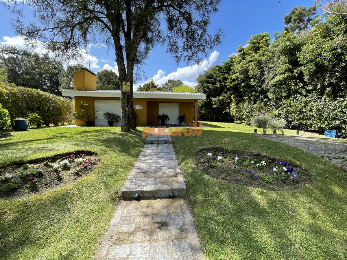 Tio Tom - GoPunta - Portal Inmobiliario de Punta del Este - Maldonado
