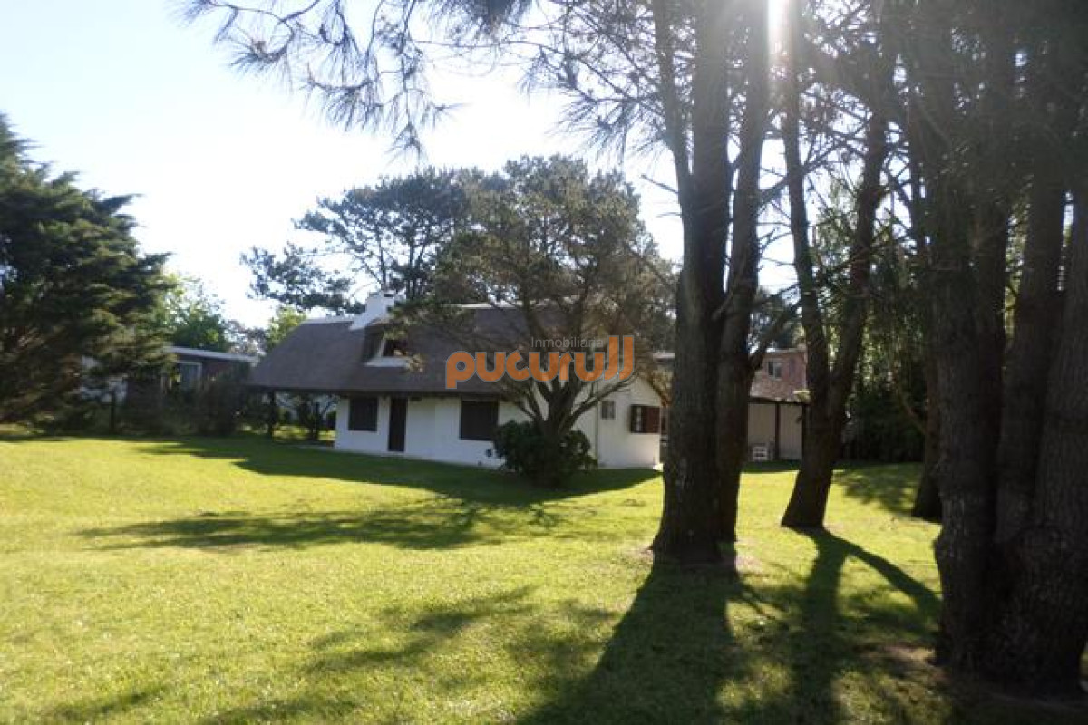 Tio Tom - GoPunta - Portal Inmobiliario de Punta del Este - Maldonado