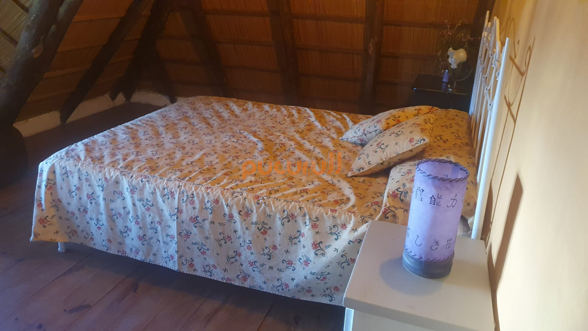 Casa ID.1618 - Casa en Punta Ballena, Tio Tom