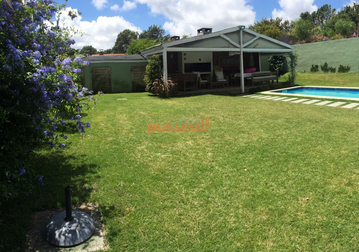 Tio Tom - GoPunta - Portal Inmobiliario de Punta del Este - Maldonado