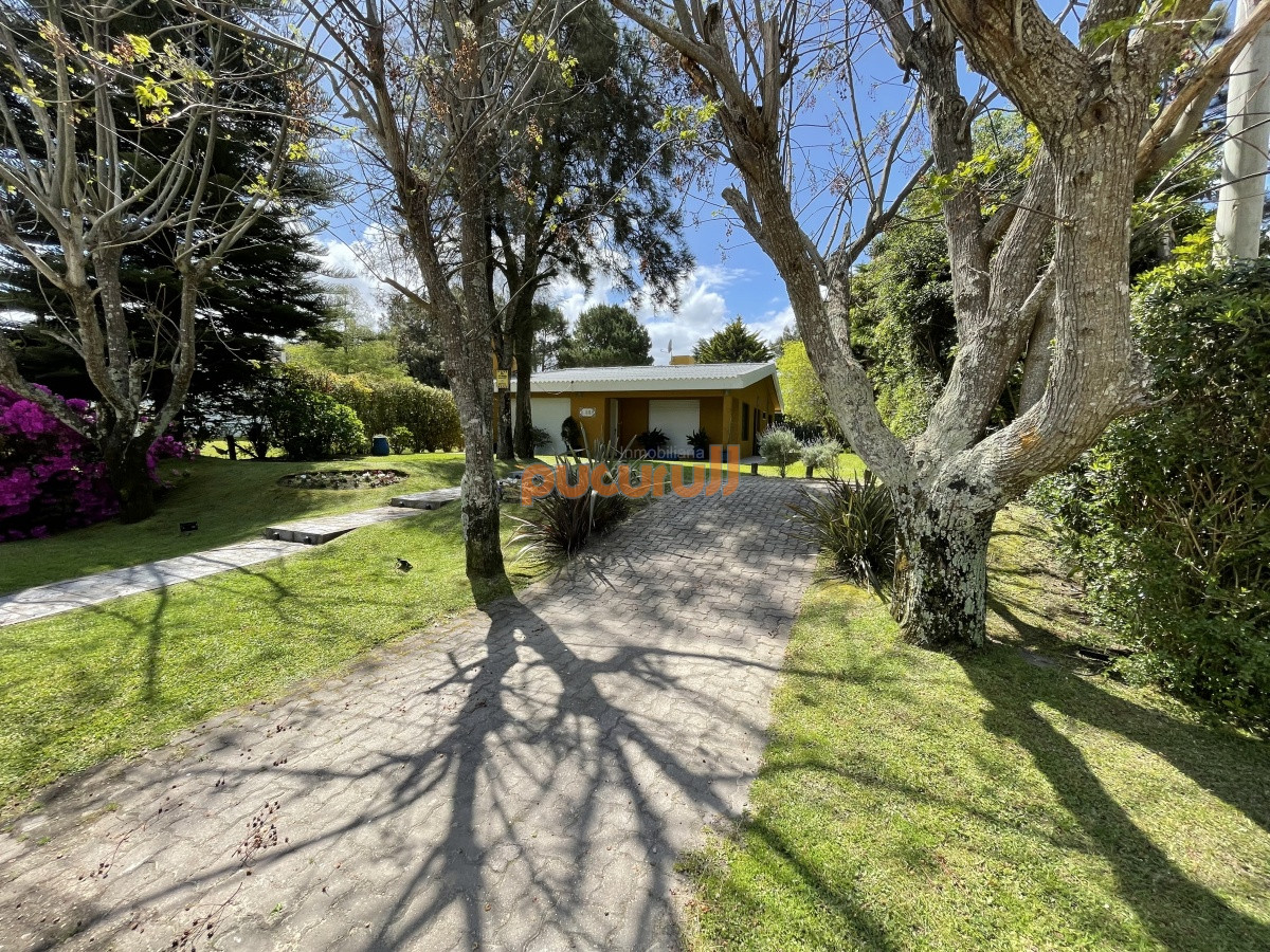 Tio Tom - GoPunta - Portal Inmobiliario de Punta del Este - Maldonado