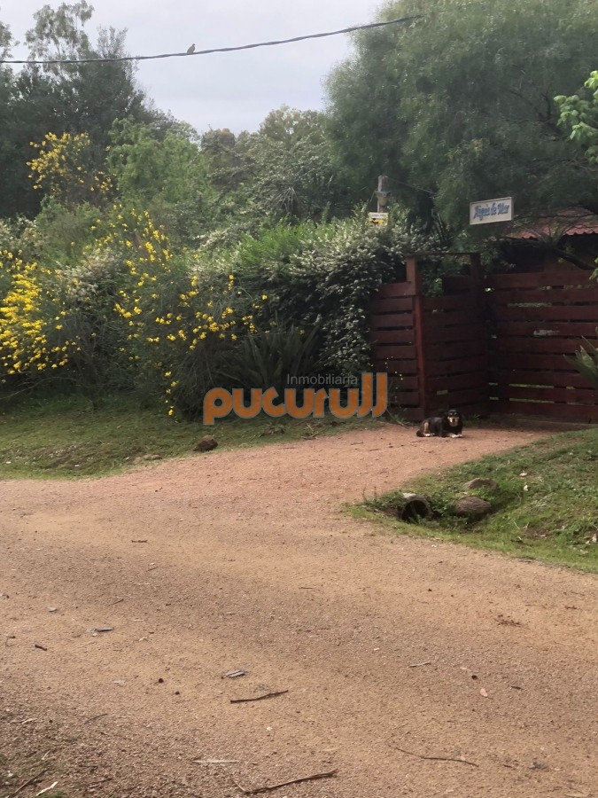 Casa en Punta Ballena, Sauce de Portezuelo