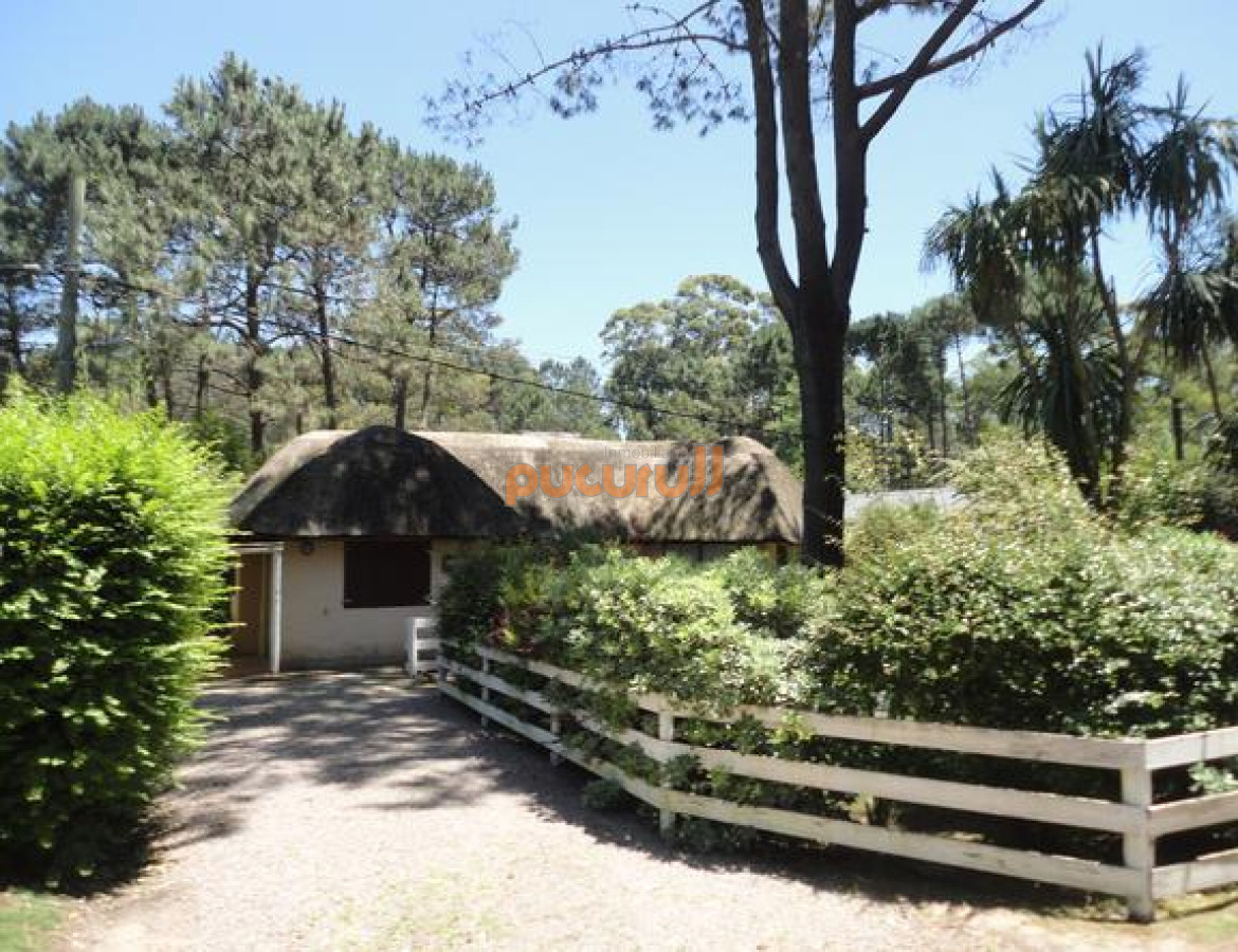 Laguna del Sauce - GoPunta - Portal Inmobiliario de Punta del Este - Maldonado