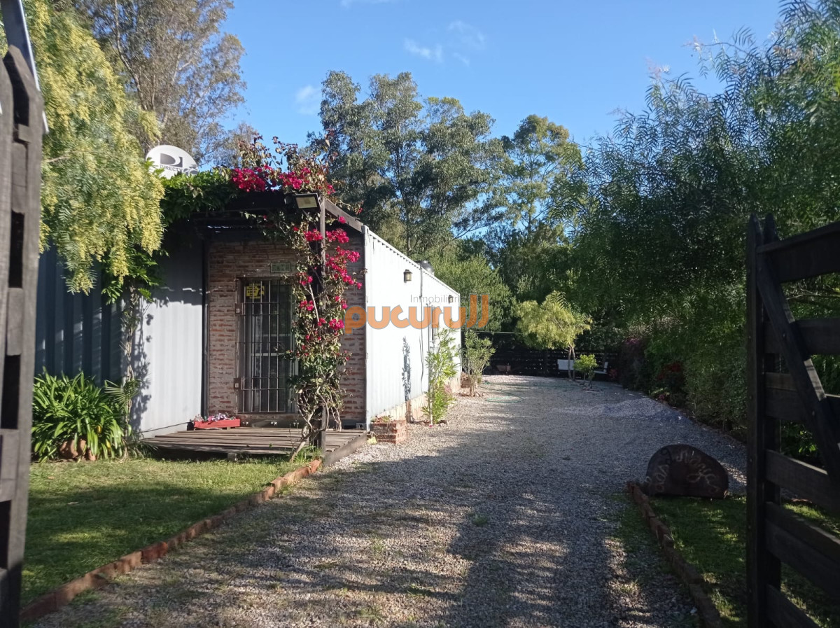 Sauce de Portezuelo - GoPunta - Portal Inmobiliario de Punta del Este - Maldonado