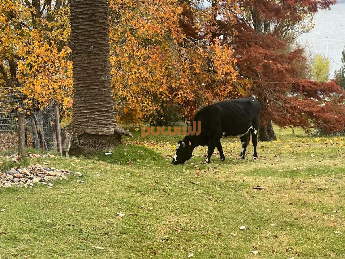Casa ID.444 - Gran chacra con 180 m. de costa a Laguna del Sauce