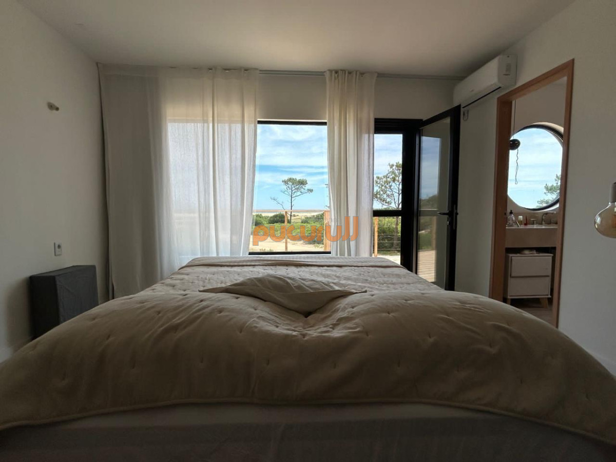 Chihuahua - GoPunta - Portal Inmobiliario de Punta del Este - Maldonado