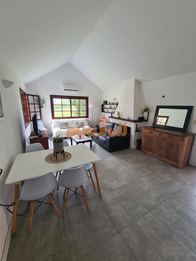 Chihuahua - GoPunta - Portal Inmobiliario de Punta del Este - Maldonado