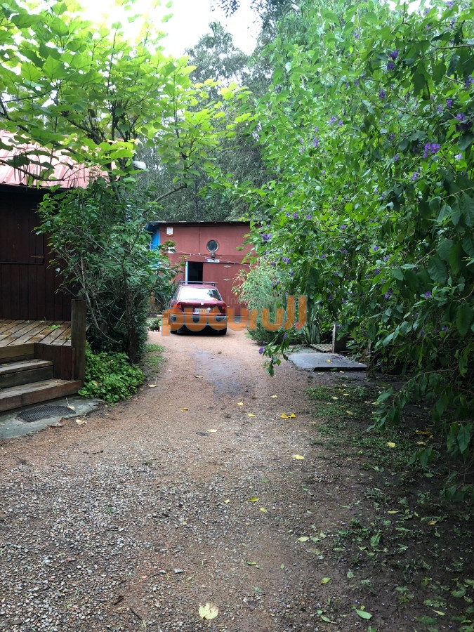 Sauce de Portezuelo - GoPunta - Portal Inmobiliario de Punta del Este - Maldonado