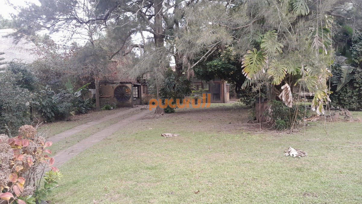 Tio Tom - GoPunta - Portal Inmobiliario de Punta del Este - Maldonado