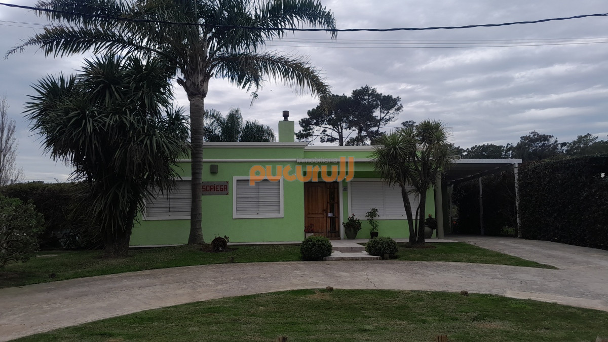 Tio Tom - GoPunta - Portal Inmobiliario de Punta del Este - Maldonado