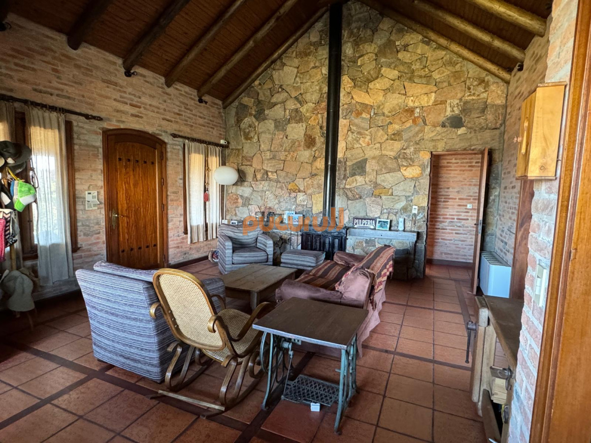 Tio Tom - GoPunta - Portal Inmobiliario de Punta del Este - Maldonado