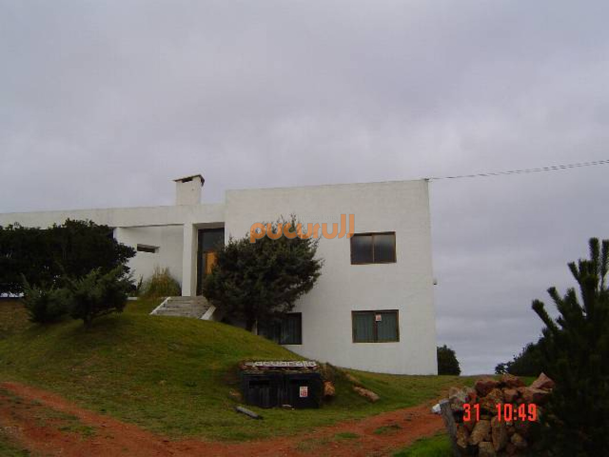 Tio Tom - GoPunta - Portal Inmobiliario de Punta del Este - Maldonado
