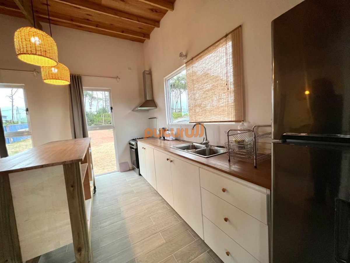 Chihuahua - GoPunta - Portal Inmobiliario de Punta del Este - Maldonado