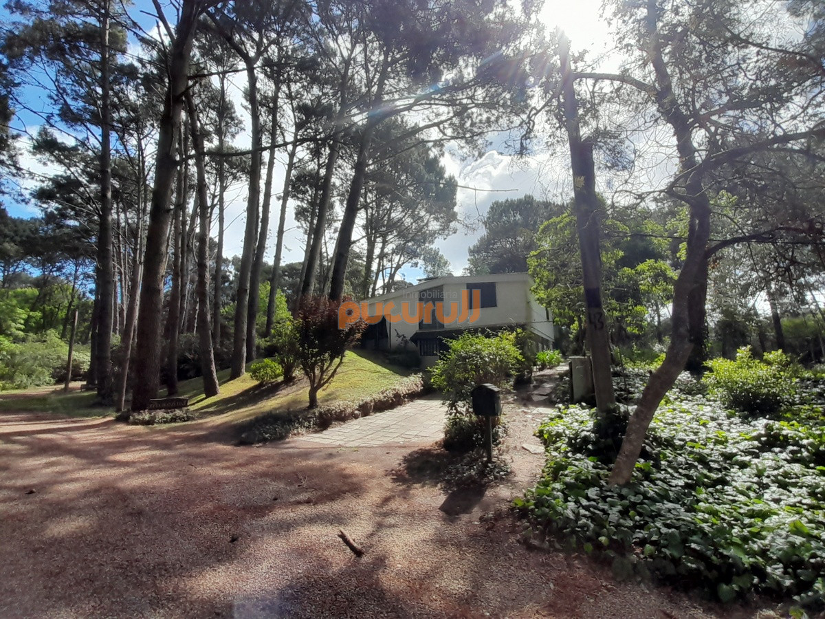 Portezuelo Bosque - GoPunta - Portal Inmobiliario de Punta del Este - Maldonado