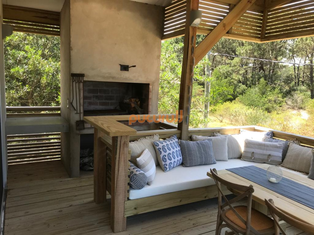 Chihuahua - GoPunta - Portal Inmobiliario de Punta del Este - Maldonado