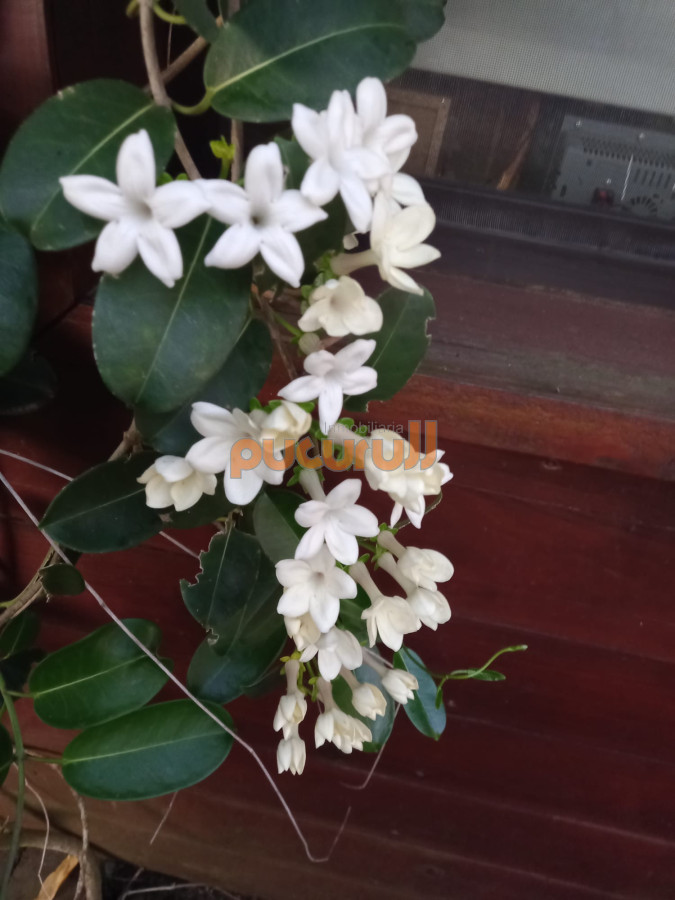 Casa ID.1932 - Casa en Punta Ballena, Camino Lussich