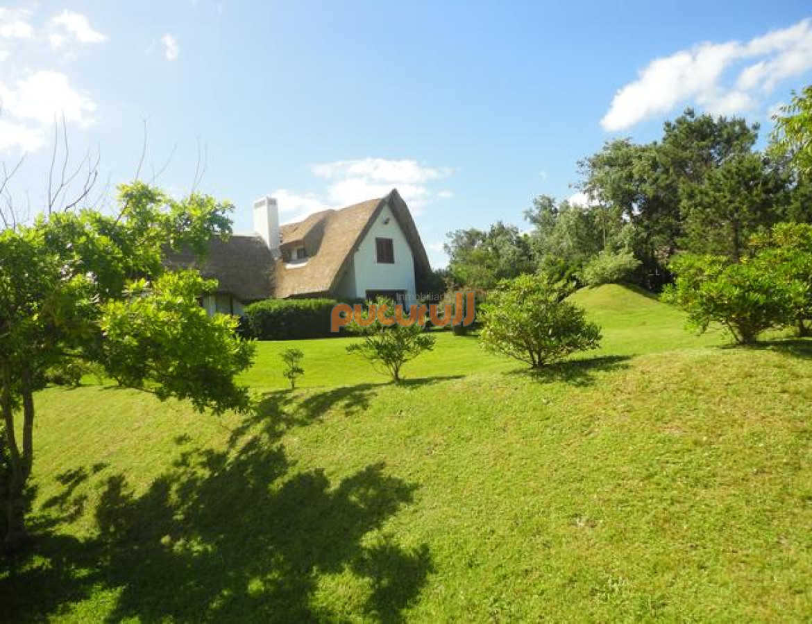 Tio Tom - GoPunta - Portal Inmobiliario de Punta del Este - Maldonado