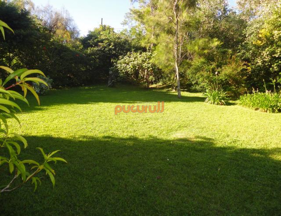 Tio Tom - GoPunta - Portal Inmobiliario de Punta del Este - Maldonado