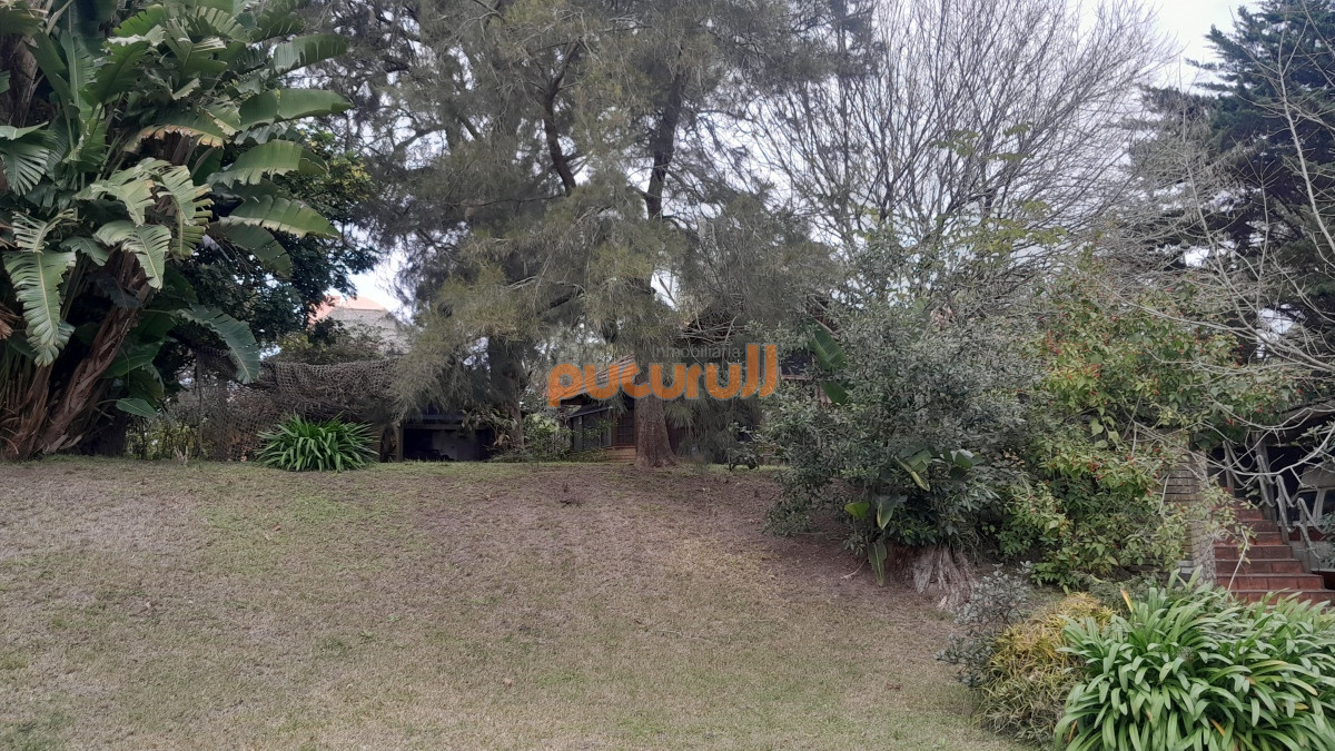 Tio Tom - GoPunta - Portal Inmobiliario de Punta del Este - Maldonado