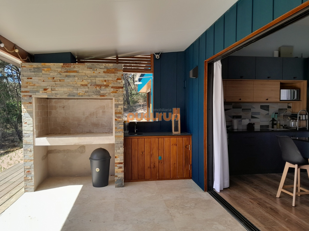 Chihuahua - GoPunta - Portal Inmobiliario de Punta del Este - Maldonado