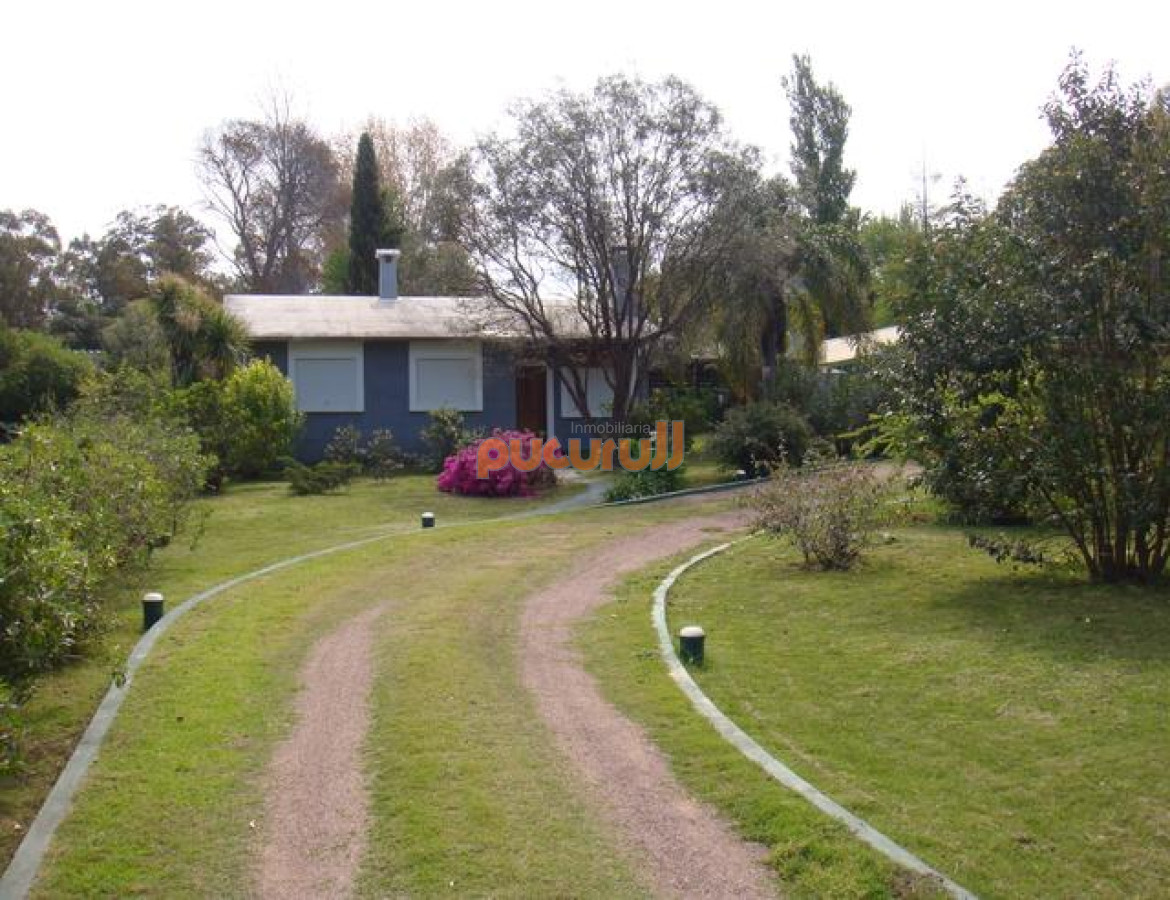 Duraznito - GoPunta - Portal Inmobiliario de Punta del Este - Maldonado