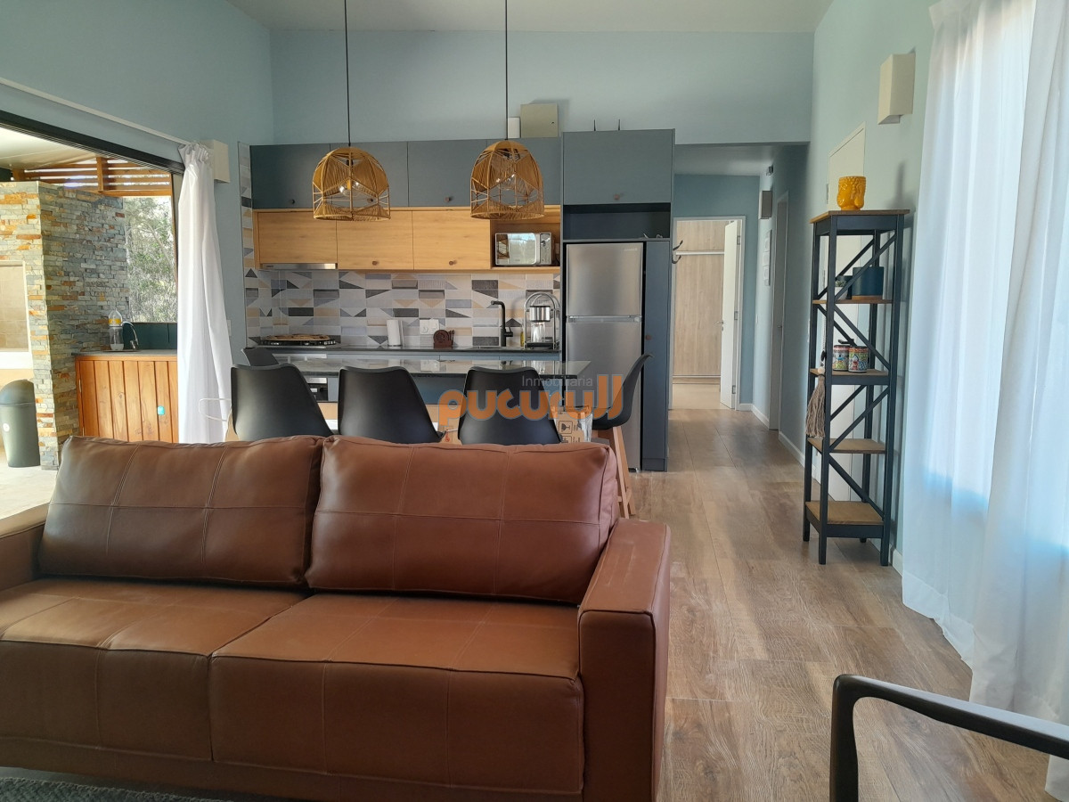 Chihuahua - GoPunta - Portal Inmobiliario de Punta del Este - Maldonado