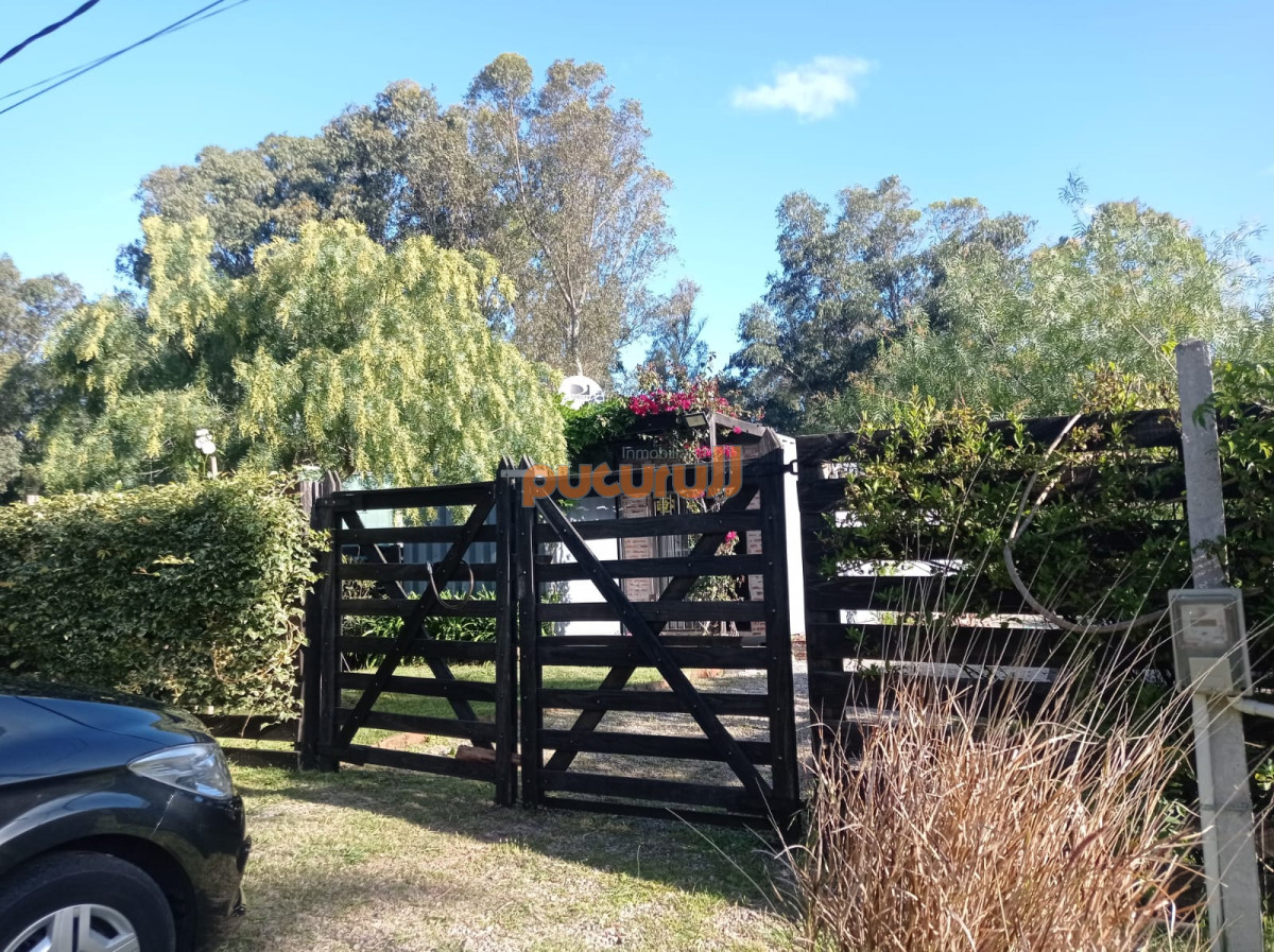 Sauce de Portezuelo - GoPunta - Portal Inmobiliario de Punta del Este - Maldonado