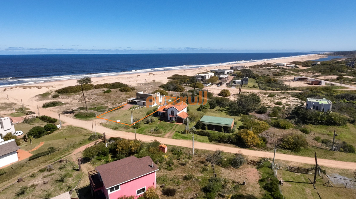 Chihuahua - GoPunta - Portal Inmobiliario de Punta del Este - Maldonado