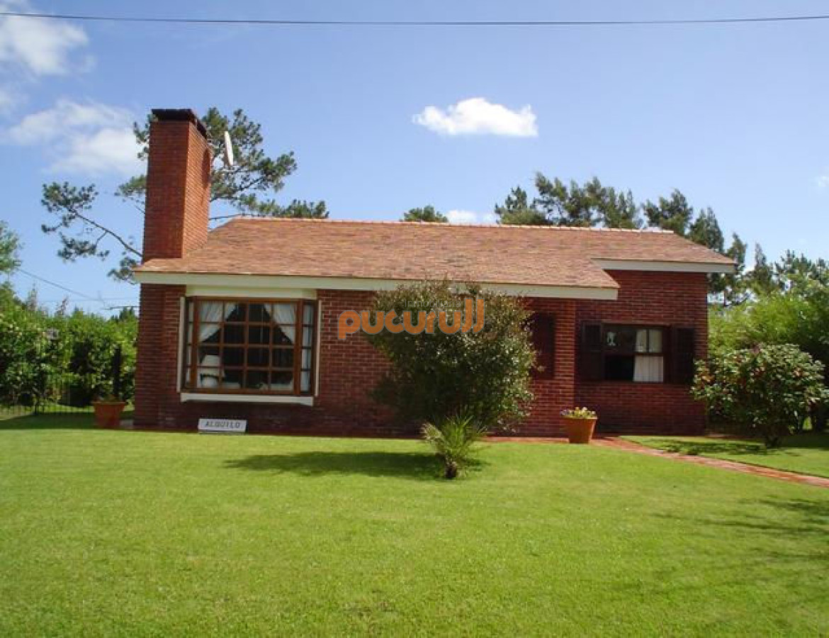 Tio Tom - GoPunta - Portal Inmobiliario de Punta del Este - Maldonado
