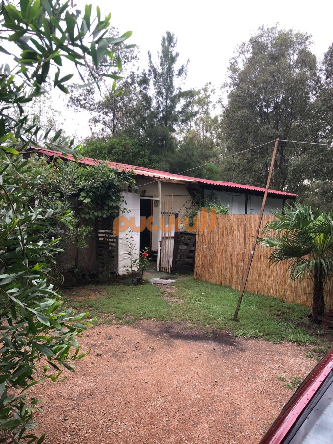 Casa ID.1732 - Casa en Punta Ballena, Sauce de Portezuelo
