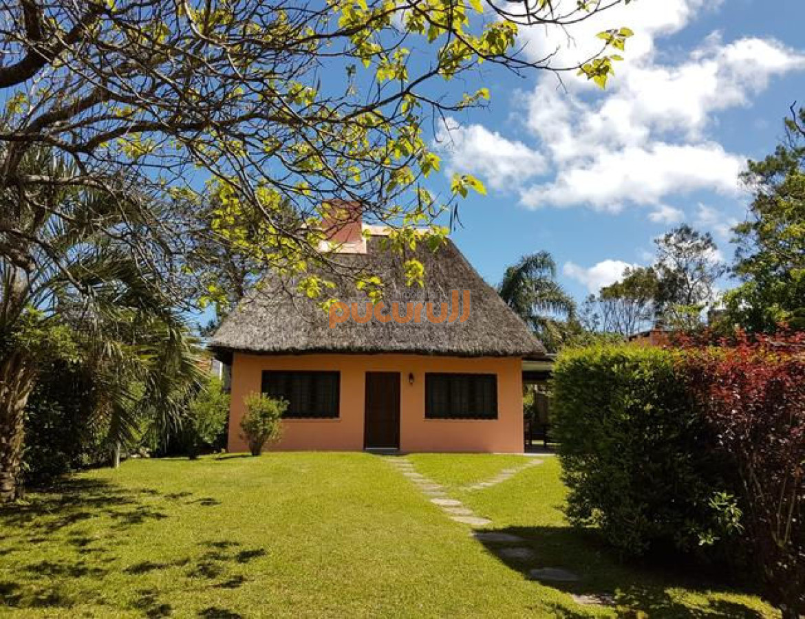 Tio Tom - GoPunta - Portal Inmobiliario de Punta del Este - Maldonado