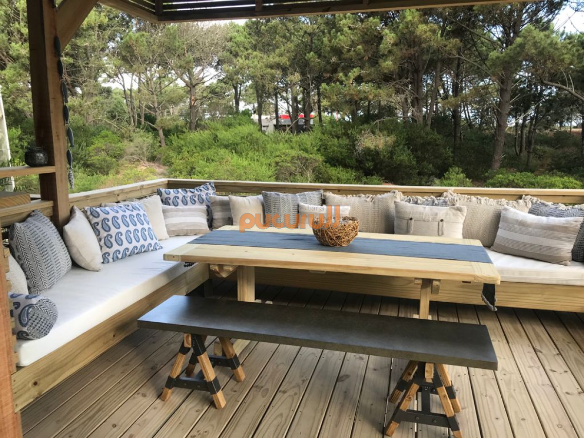 Chihuahua - GoPunta - Portal Inmobiliario de Punta del Este - Maldonado