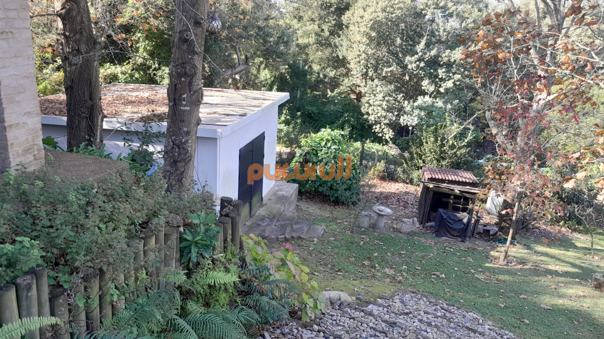 Punta Ballena - GoPunta - Portal Inmobiliario de Punta del Este - Maldonado