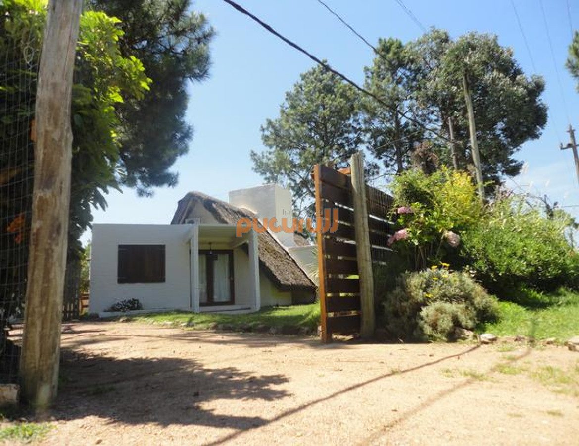 Tio Tom - GoPunta - Portal Inmobiliario de Punta del Este - Maldonado