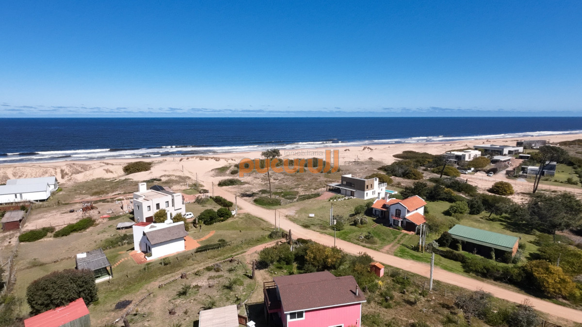 Chihuahua - GoPunta - Portal Inmobiliario de Punta del Este - Maldonado