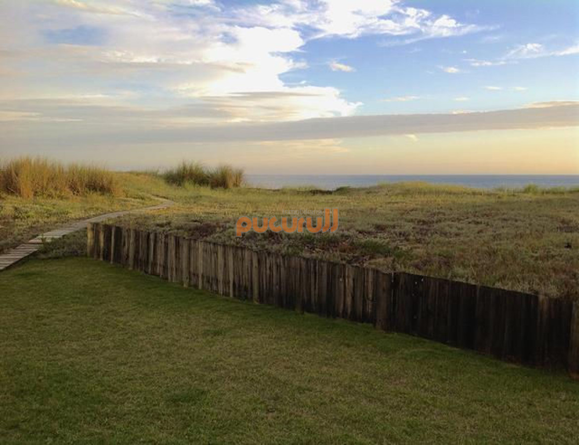 Tio Tom - GoPunta - Portal Inmobiliario de Punta del Este - Maldonado