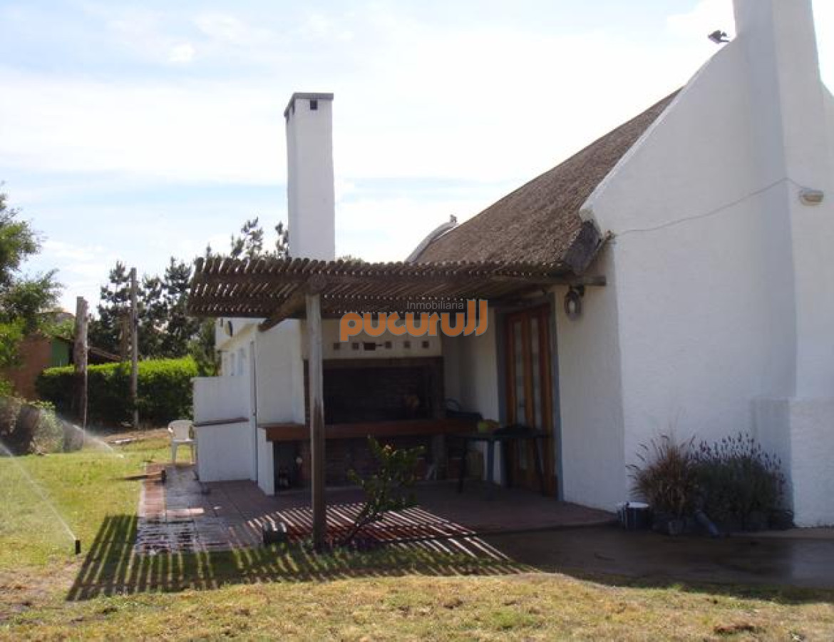 Tio Tom - GoPunta - Portal Inmobiliario de Punta del Este - Maldonado