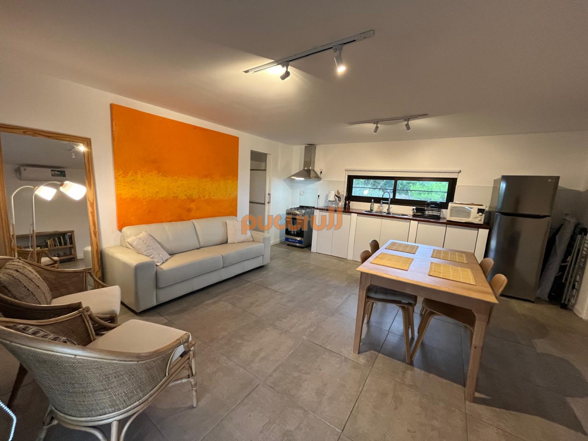 Chihuahua - GoPunta - Portal Inmobiliario de Punta del Este - Maldonado
