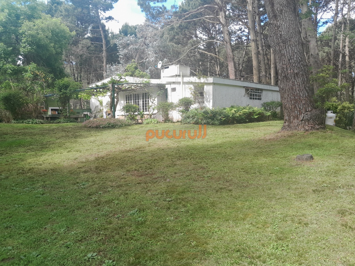 Casa ID.1420 - Casa en Punta Ballena, Portezuelo Bosque