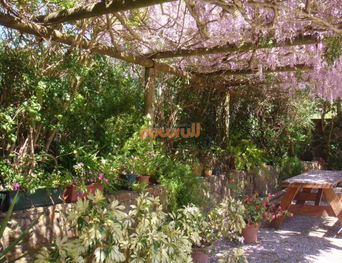 Casa ID.1474 - Casa en Punta Ballena, Punta Ballena