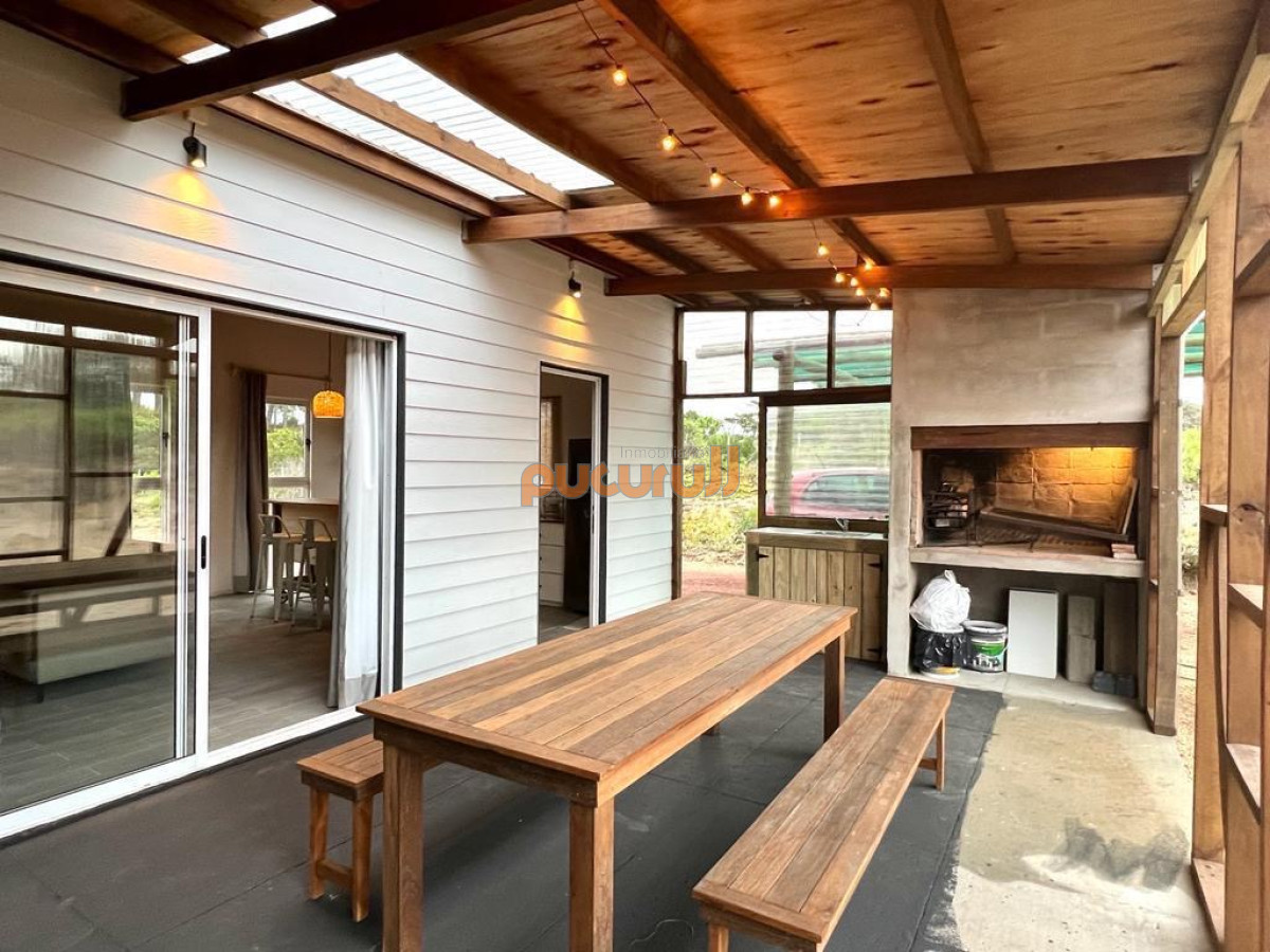 Chihuahua - GoPunta - Portal Inmobiliario de Punta del Este - Maldonado