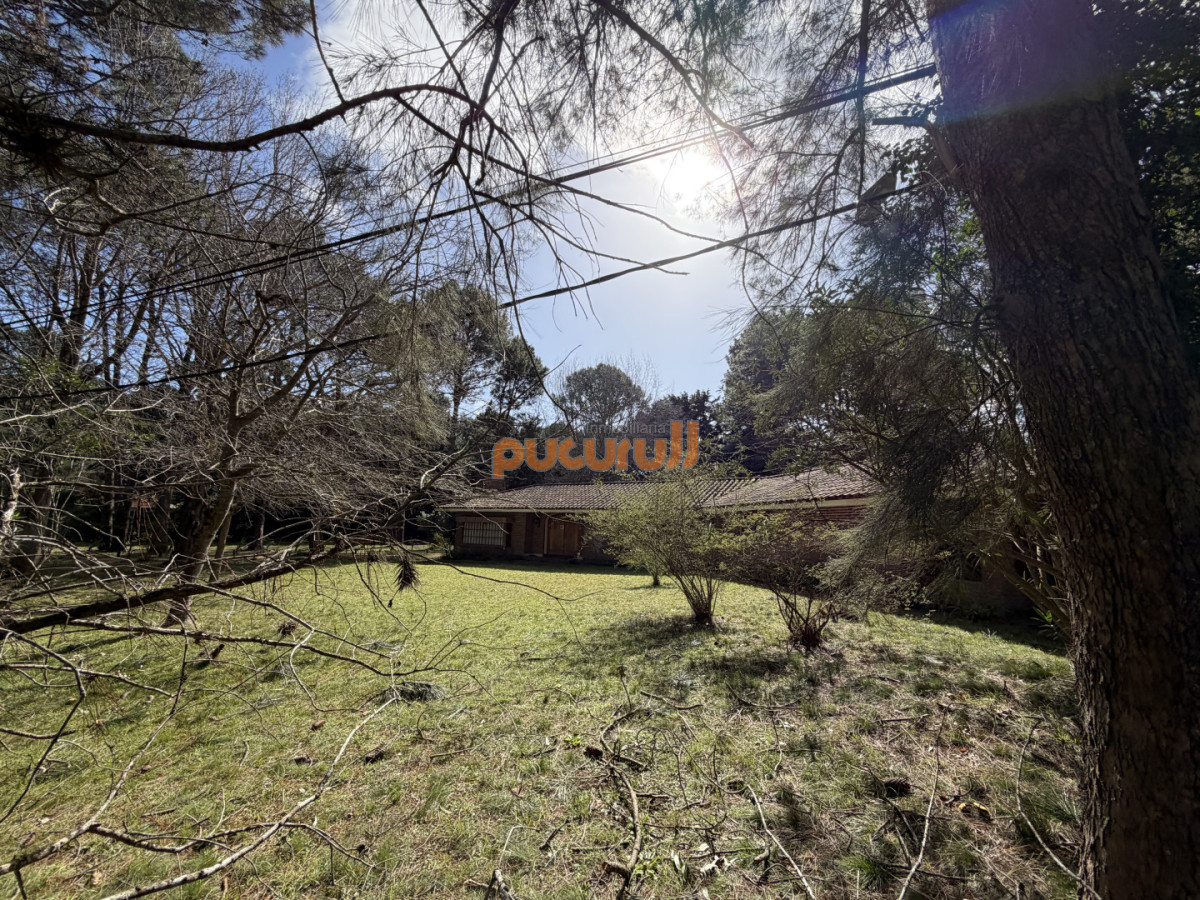 Casa ID.3029 - Casa en Punta Ballena, Portezuelo Bosque